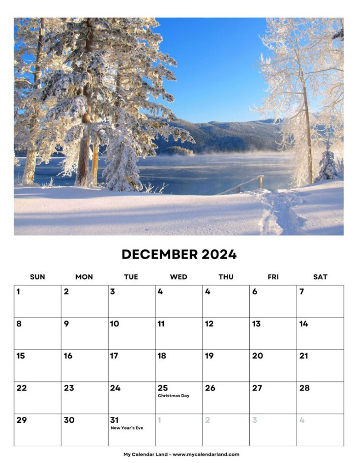 December 2024 Daily Free Printables