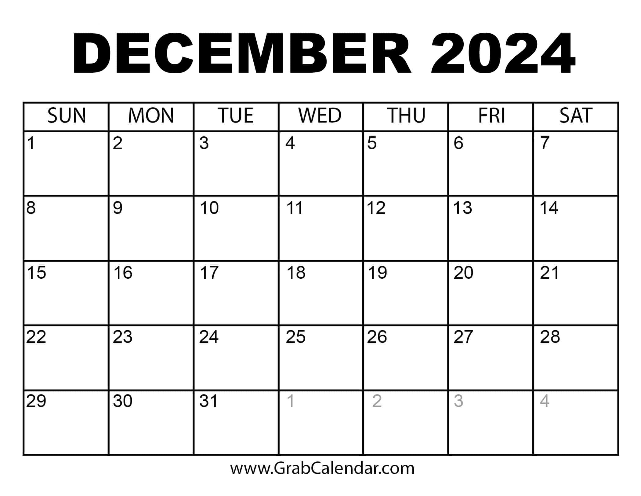 Printable December 2024 Calendar for December 2024 Daily Calendar Printable