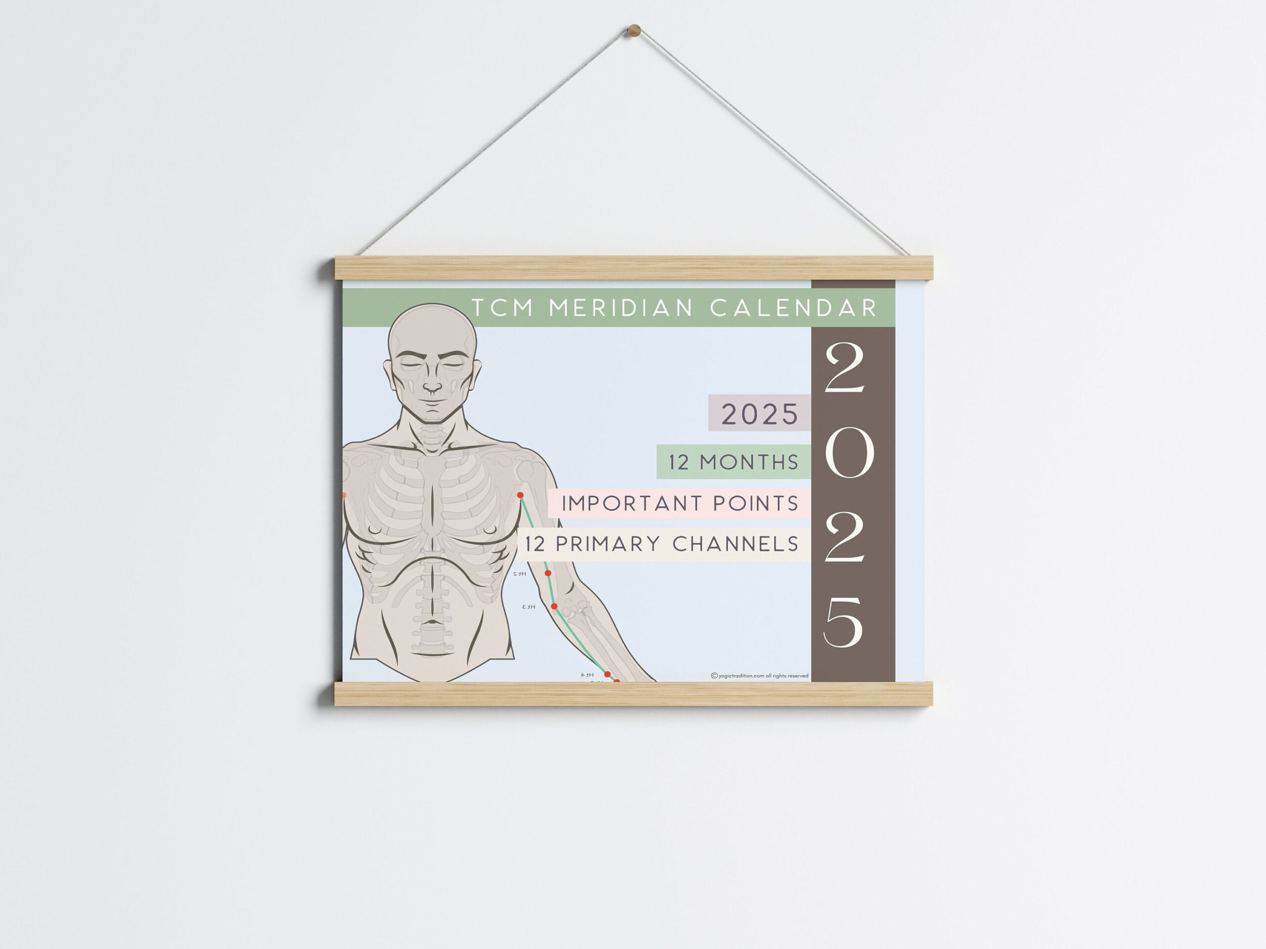 Tcm Meridian Calendar 20242025, Calendar For Chinese Medicine intended for Tcm December 2024 Schedule Usa Printable